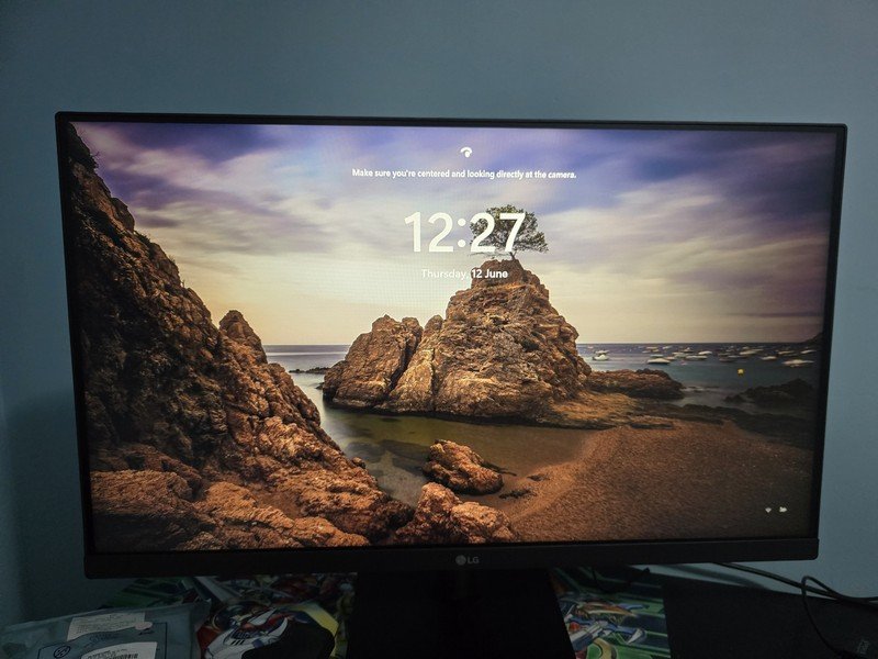 Monitor PC Gamer 100Hz LG 24MS500 24